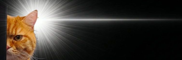 SCP-524(雑食うさぎのもふたん) banner