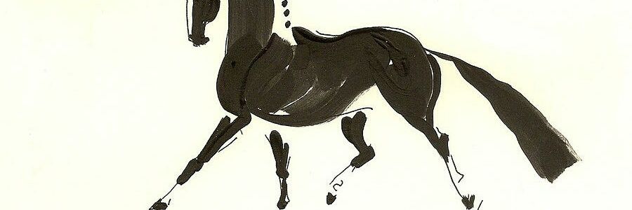 ridingislife's profile banner image