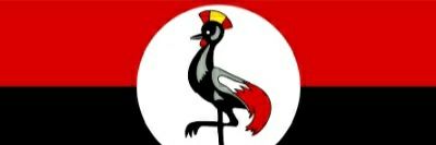 Mwoge256's profile banner image
