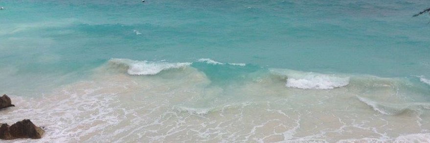 AutoVistaTravel's profile banner image