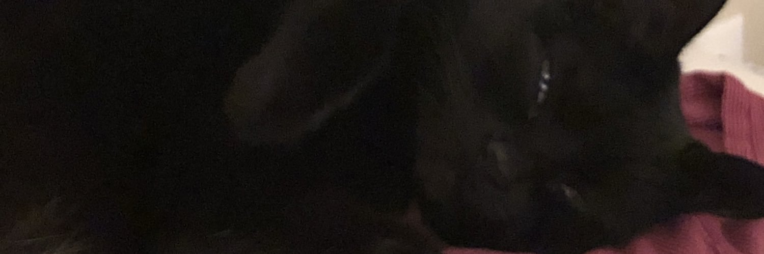 pumpkinzumpkin's profile banner image