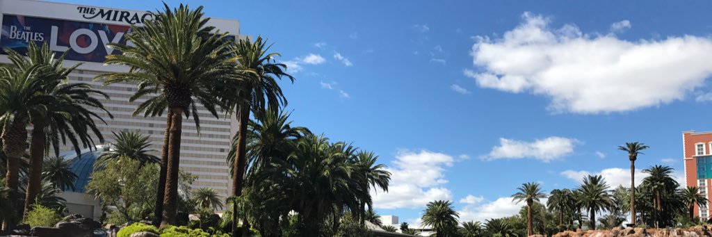 nalyk19's profile banner image