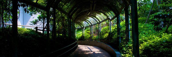 ideatunes Profile Banner