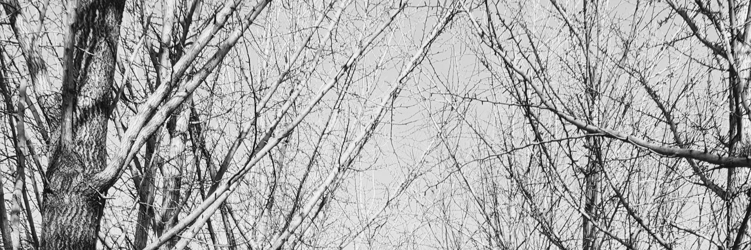 ryanhaniv's profile banner image
