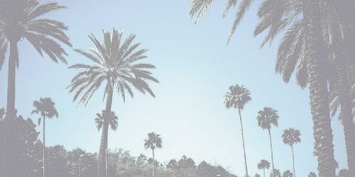 ArielRobles93's profile banner image