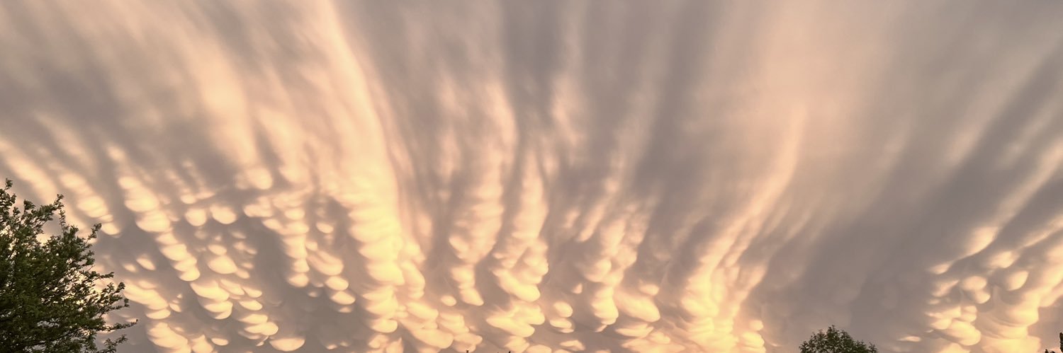 Barronish's profile banner image