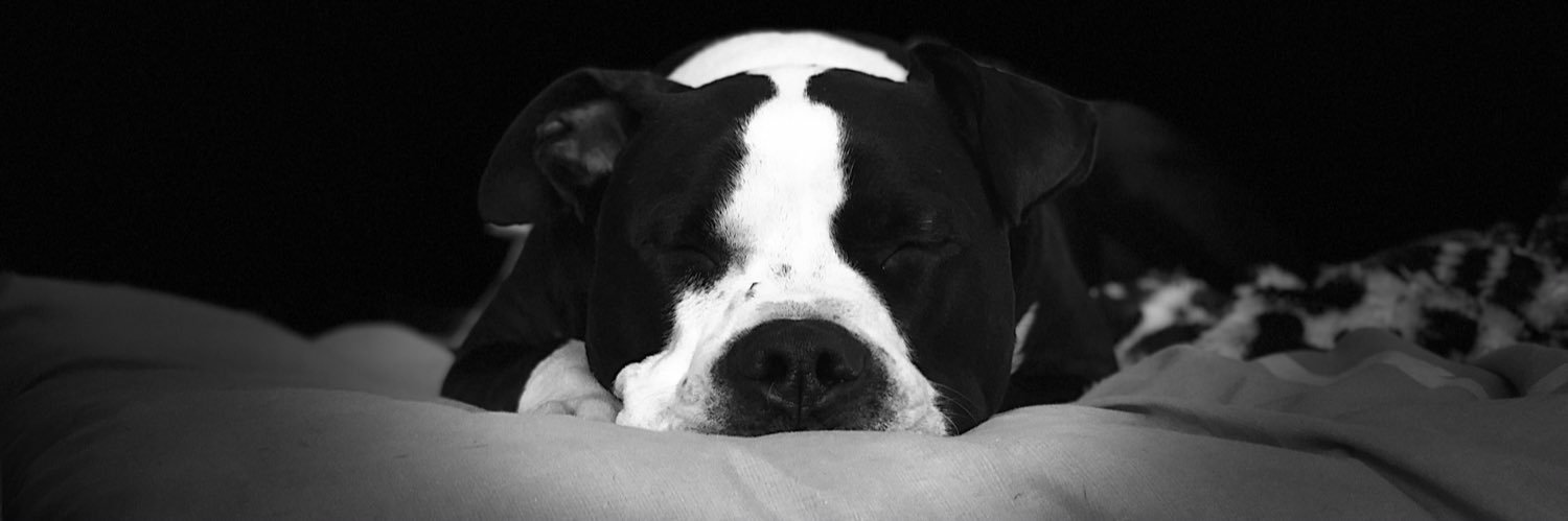 Lucia_24_'s profile banner image