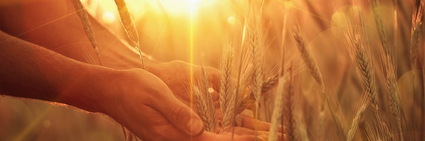 AgSafe Alberta banner