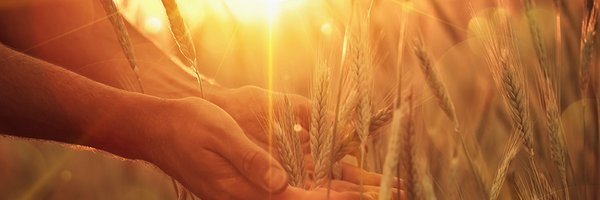 AgSafeAlberta Profile Banner