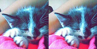 Astrid_Lorena_'s profile banner image