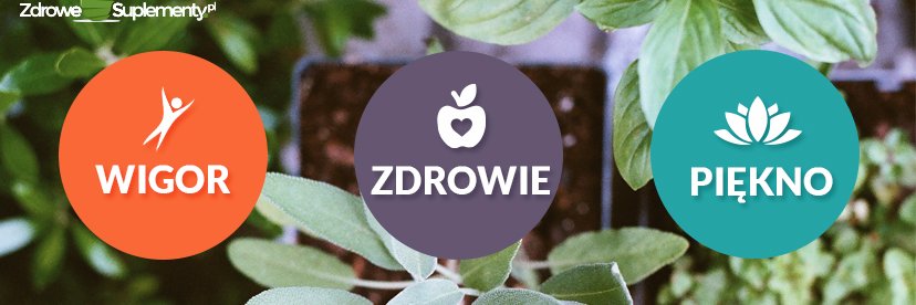 ZdroweSuple's profile banner image