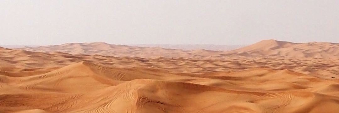 SweetRyder1's profile banner image