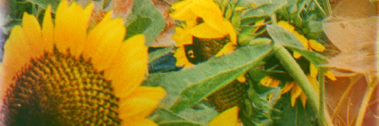 khairazy's profile banner image