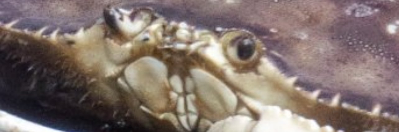 GHolinski's profile banner image