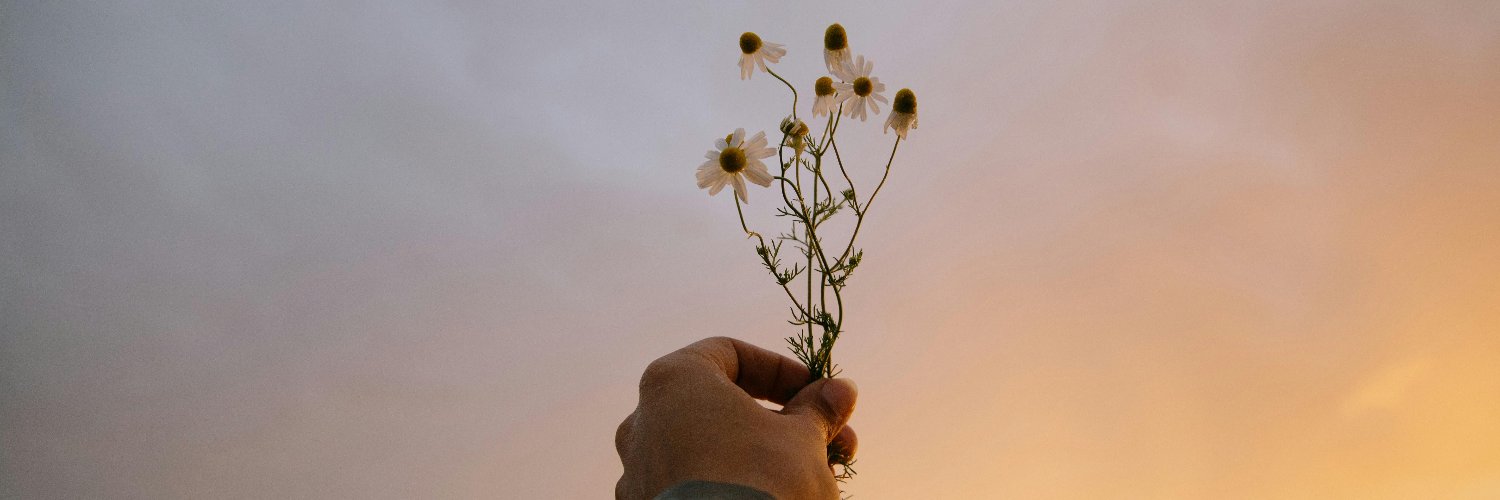 Andrew Frenir banner