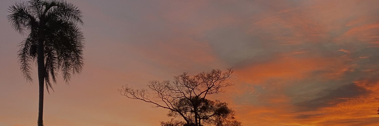 carollengell's profile banner image