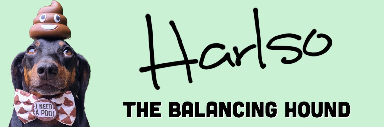 Harlso banner
