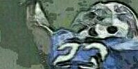 ronm29's profile banner image