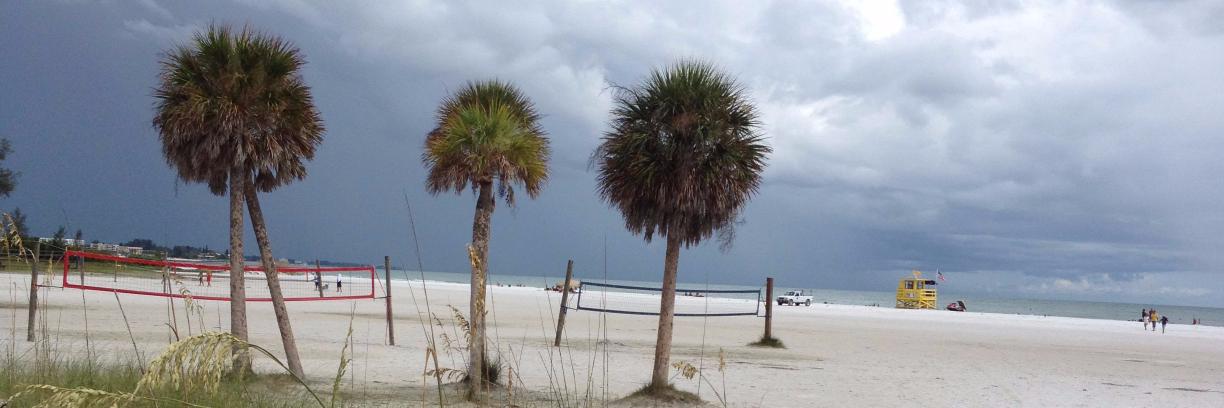 really_swfl's profile banner image