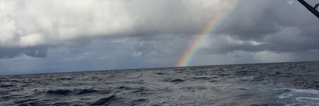 Albee_zers's profile banner image