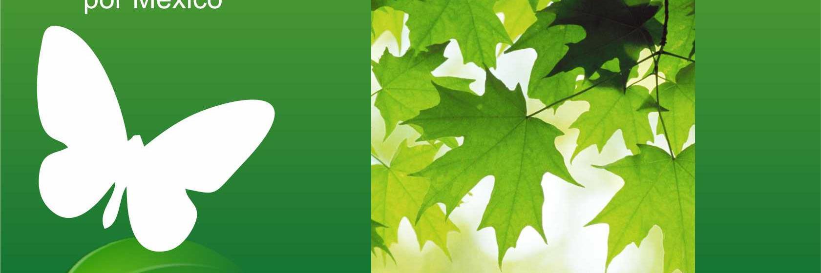 mariposa_mx's profile banner image