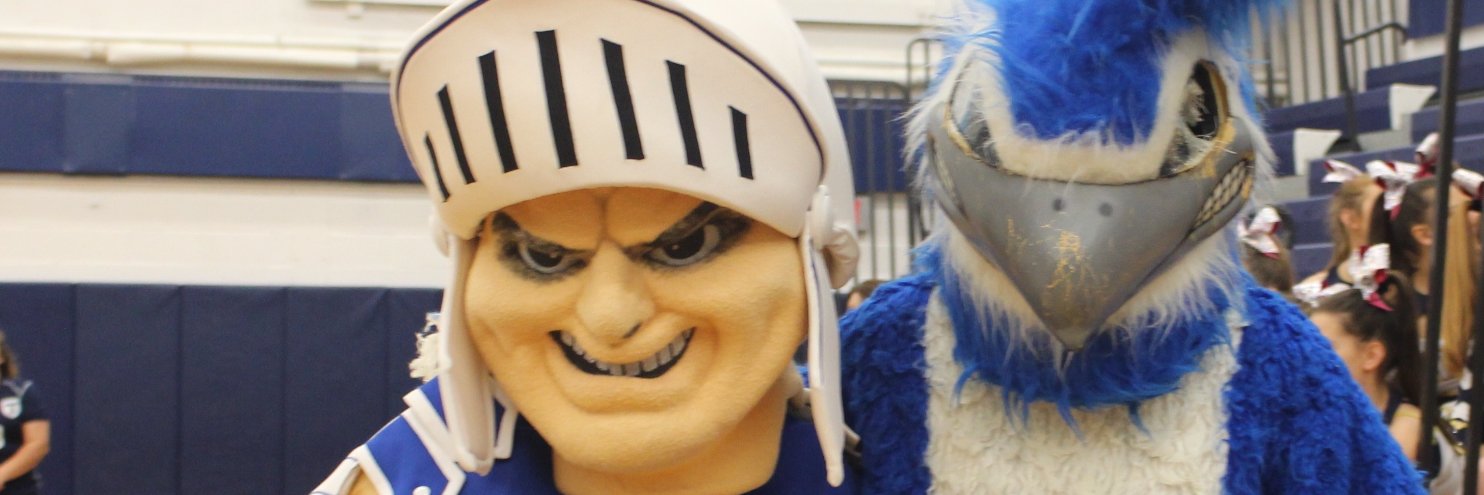 Thomas HS /OWL PTSA banner