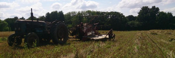 rmnvoice Profile Banner