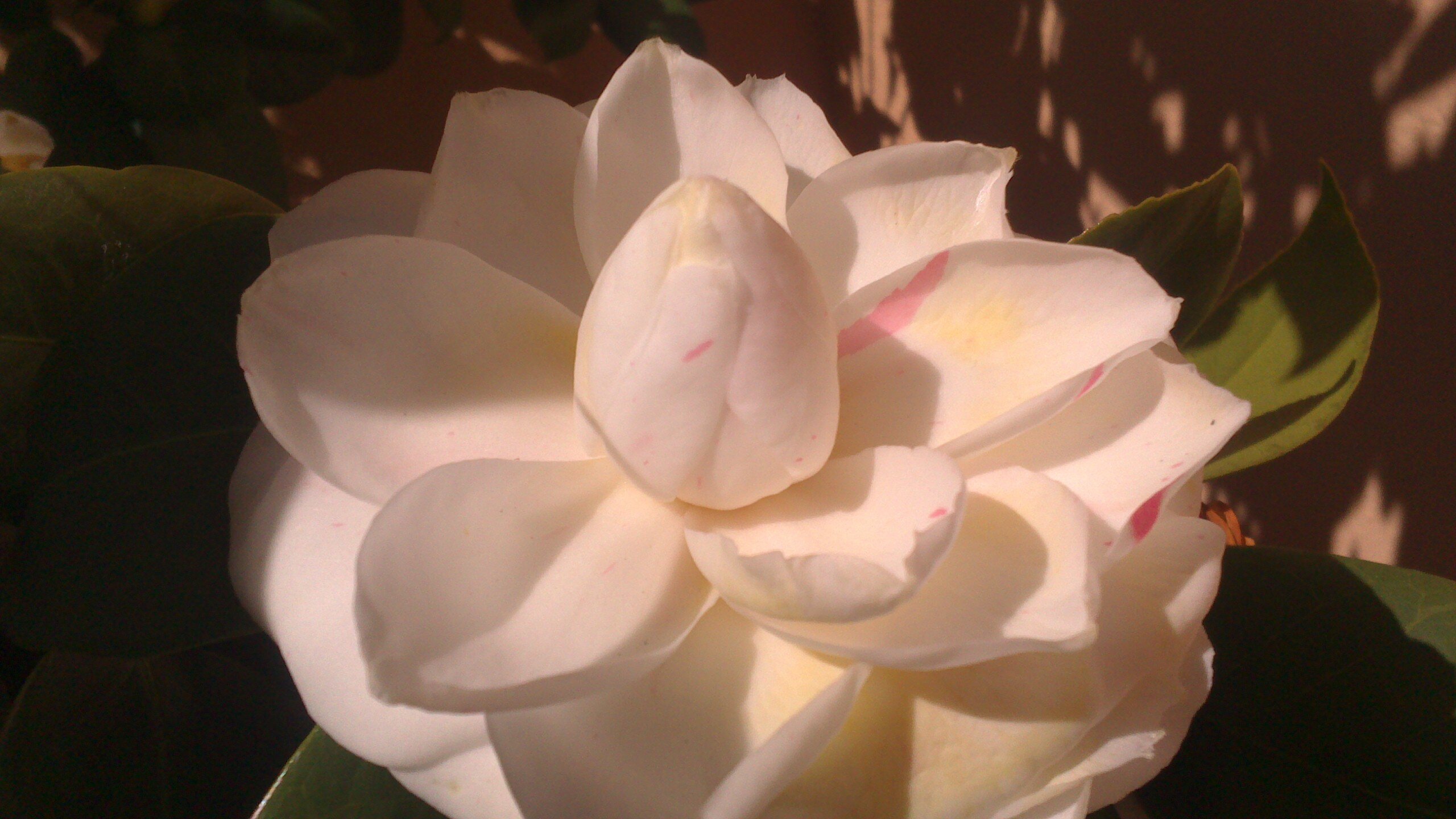 joann199's profile banner image