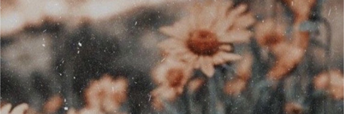 sandrabaileyy's profile banner image