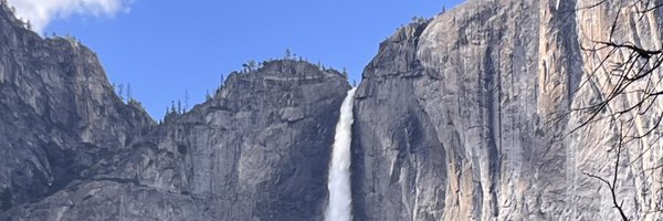 tiger_brah Profile Banner