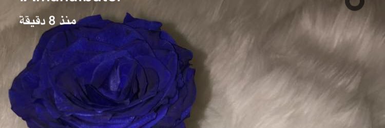 افنان banner