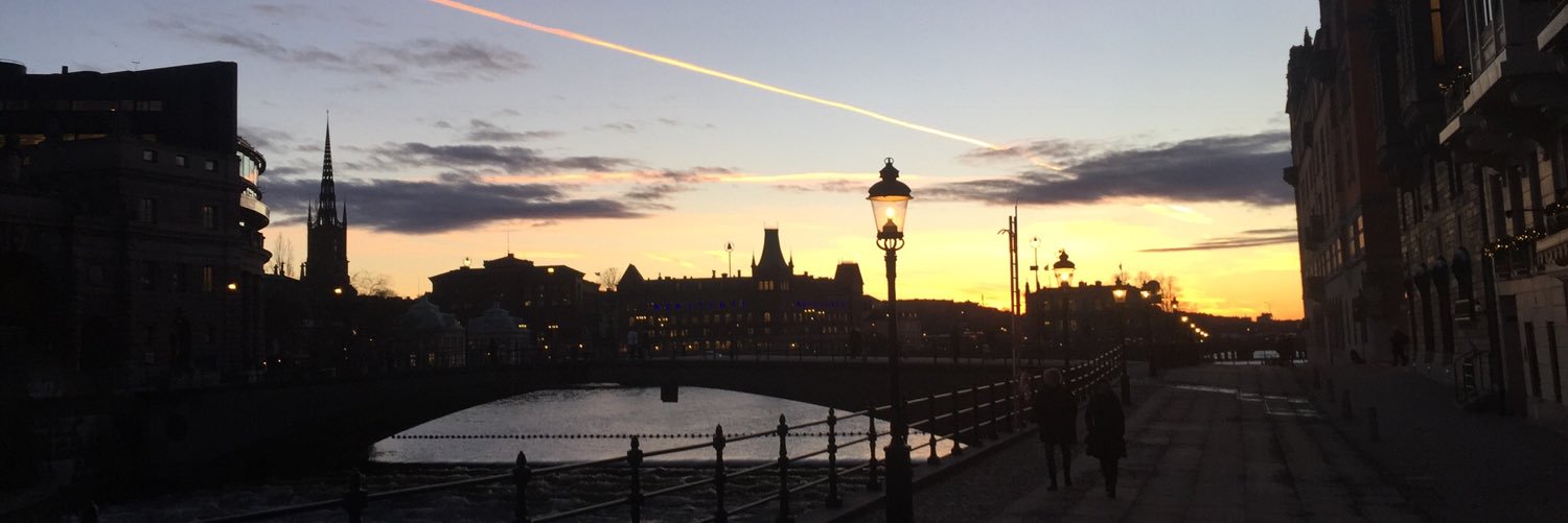 ThePoliticalChef banner