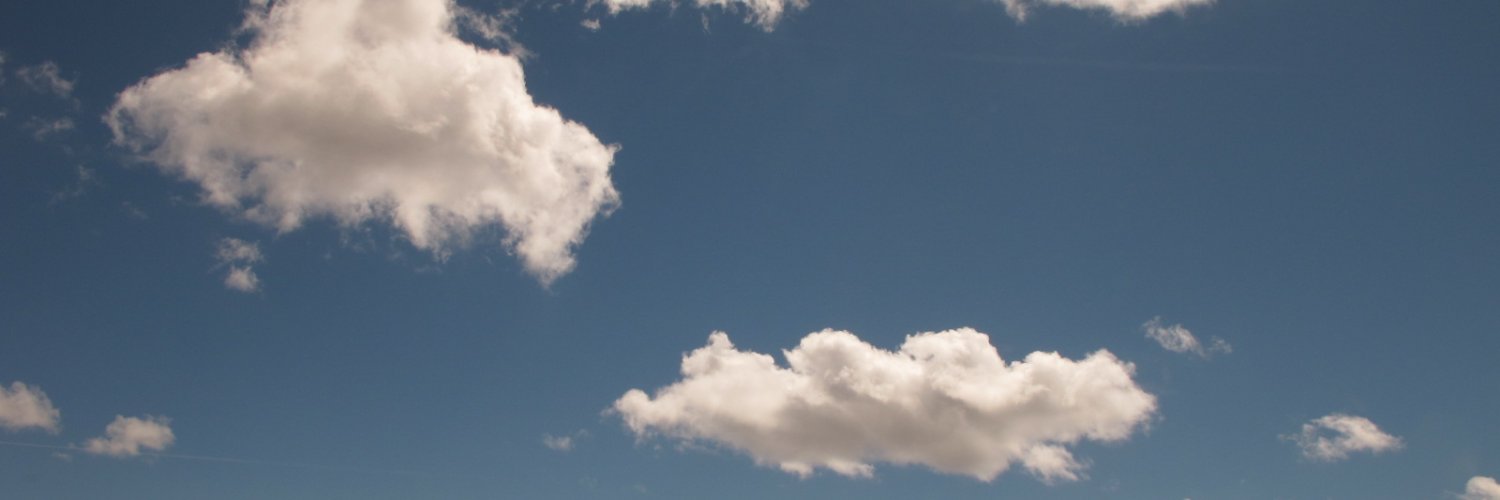 saratcombs's profile banner image