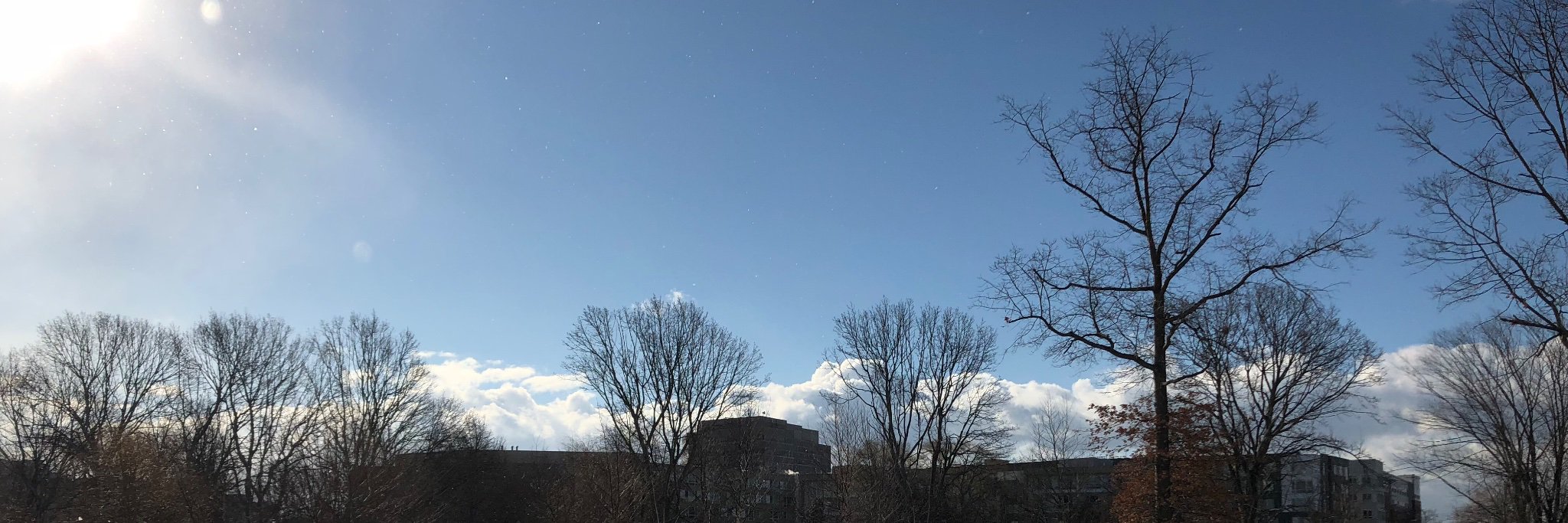 Maxie Schmidt banner