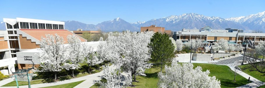 Greg Peterson banner