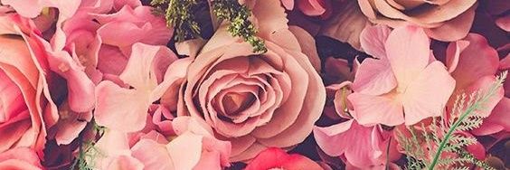 camiforero1's profile banner image