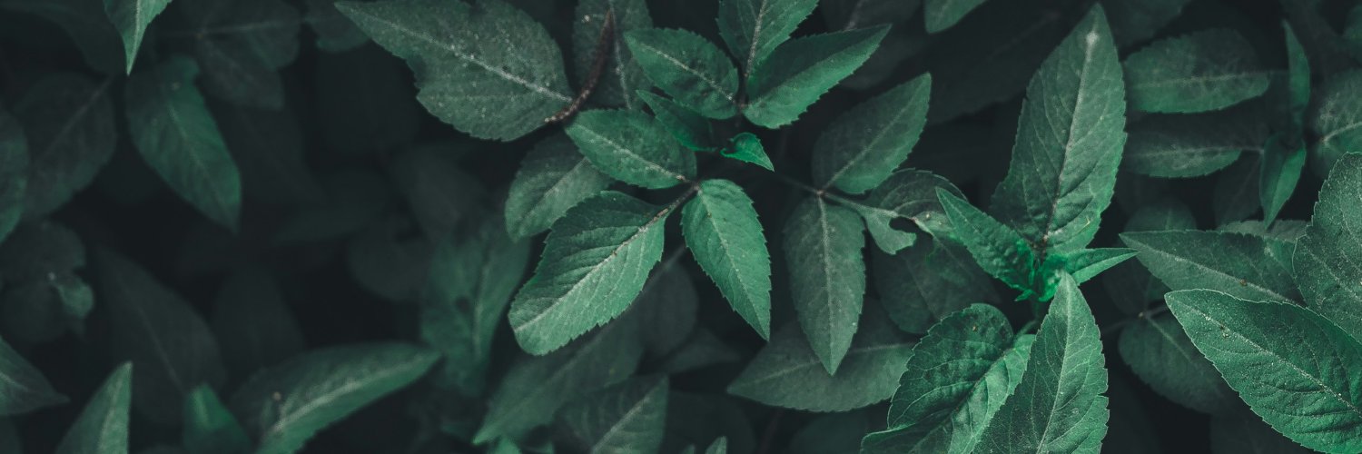 NichaayGG's profile banner image