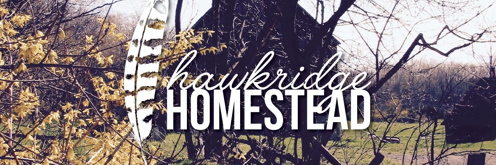hawkridgefarm's profile banner image