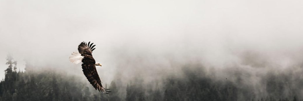 JCharlesAssets 🌊 banner