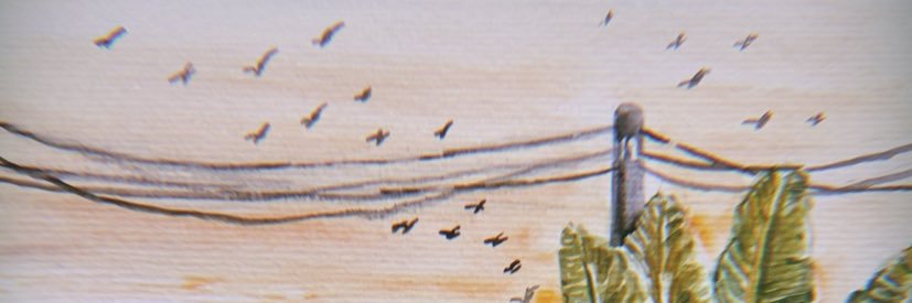 afrara's profile banner image