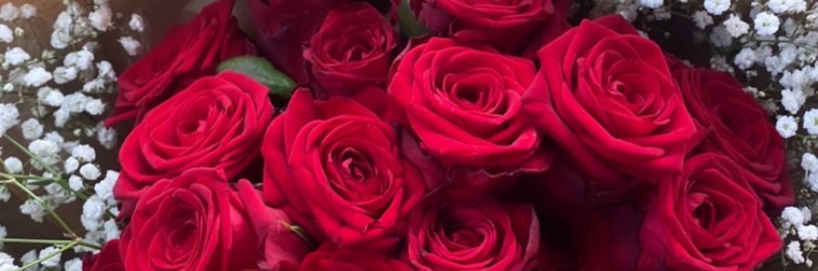Tayo_Teoo's profile banner image