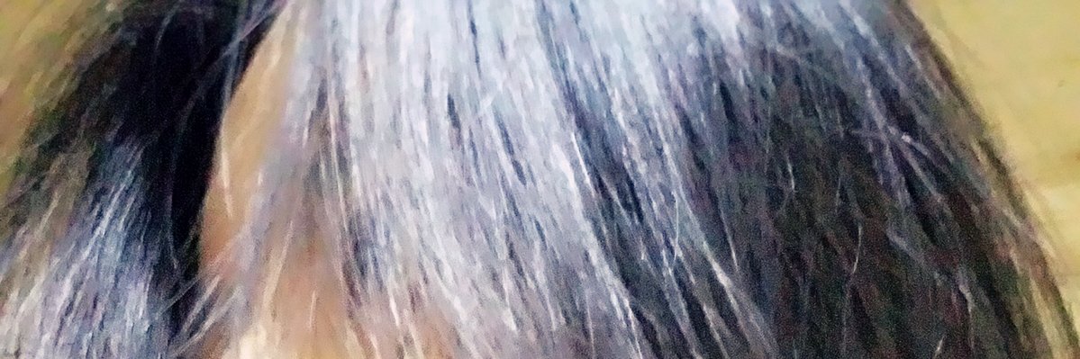 LiviaZeng's profile banner image