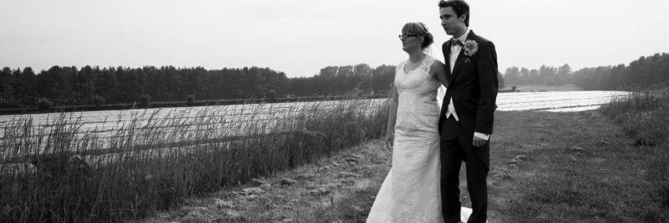 RoseannesBlog's profile banner image