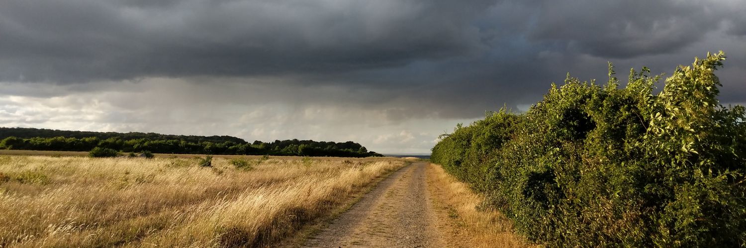 Agrarian Political Economy banner