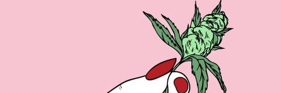 BrandyLee___'s profile banner image