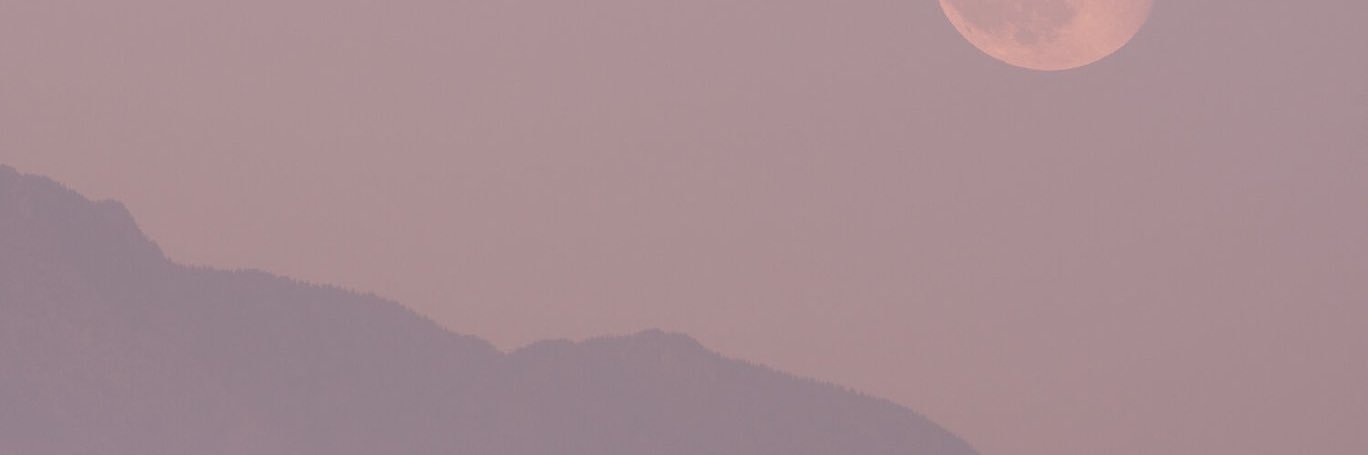 Lord of the North banner