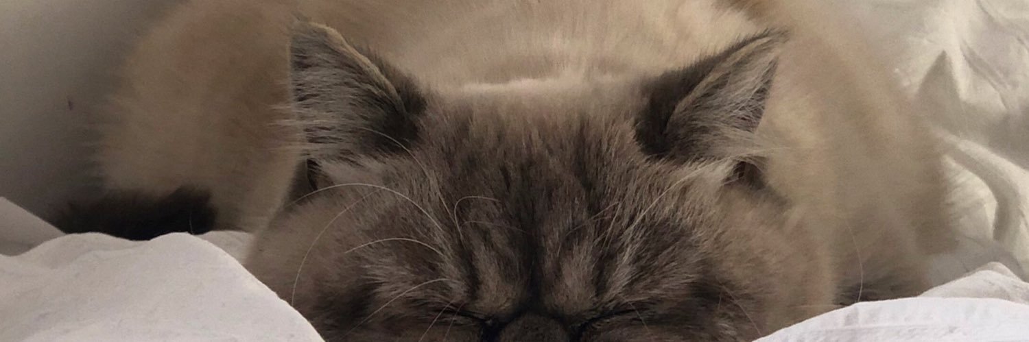spacebindi's profile banner image