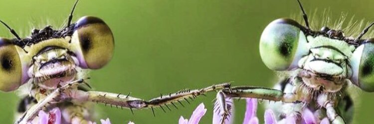 AgencyTape's profile banner image