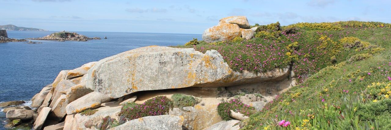 Biological Invasions banner