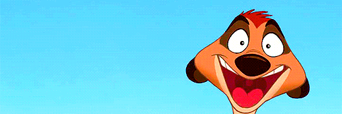 X_Timon_X's profile banner image